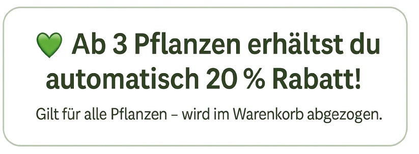 Bildschirmfoto 2025 10 13 um 22