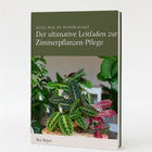 Dracaena Marginata - 120cm