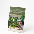 Dypsis Lutescens - Areca - 120cm